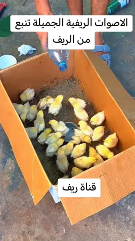 ماتردني#بصوت 