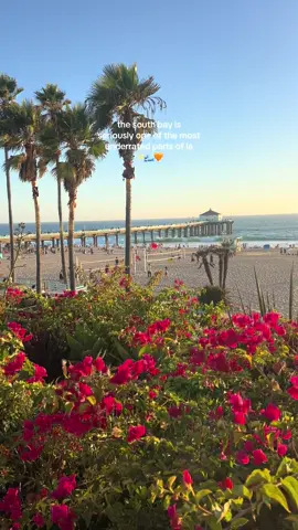 (imo) I feel like the redondo, hermosa and manhattan beach don’t really get the love that they deserve 🩵🏝️🌊 #southbay #hermosabeach #losangeles #lalaland 