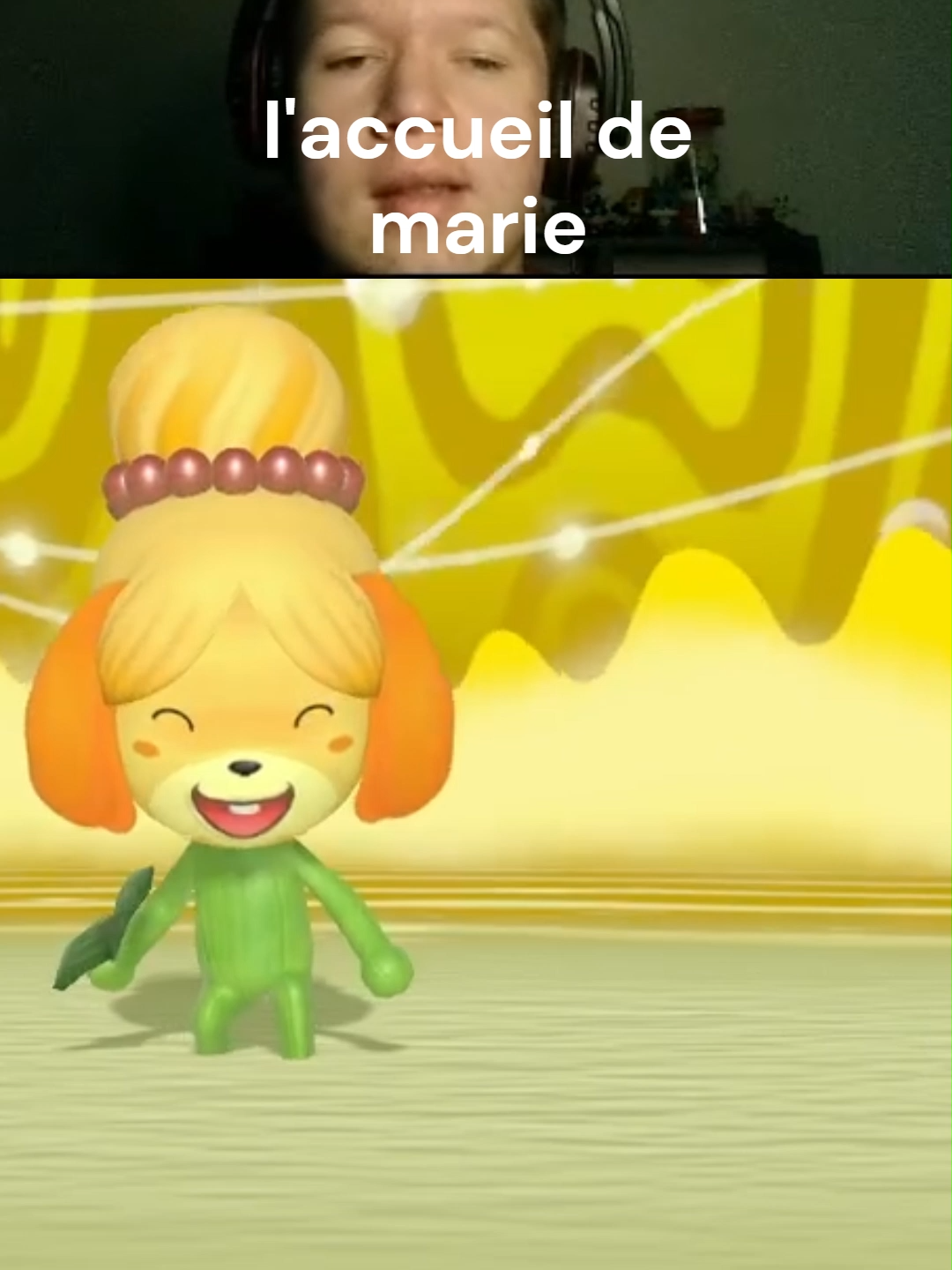 sa change rien entre acnh et miitopia #miitopia (pour en voir un peu plus c'est sur twitch et les replays sont dispos sur youtube)