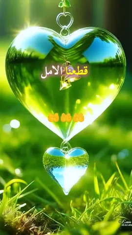 يارب 🤲#مقاطع_دينية #دعاء #دعاء_يريح_القلوب #اللهم_امين_يارب_العالمين #صلوا_على_رسول_الله 