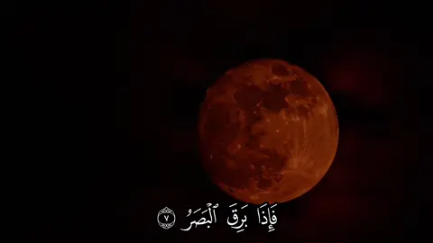 ﴿فَإِذا بَرِقَ البَصَرُ ۝ وَخَسَفَ القَمَرُ ۝ وَجُمِعَ الشَّمسُ وَالقَمَرُ ۝ يَقولُ الإِنسانُ يَومَئِذٍ أَينَ المَفَرُّ﴾ [القيامة: 7-10] #قرآن #قران #قران_كريم #quran #ياسر_الدوسري 