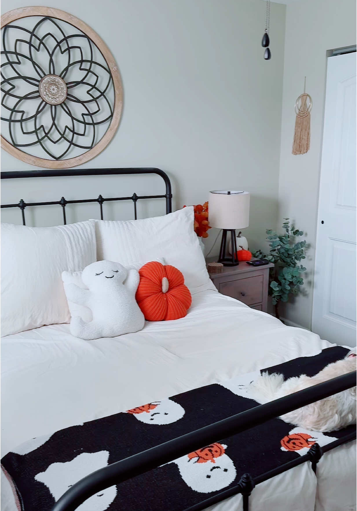 Fall Room Decor 🍂🍁🎃👻 #fallaesthetic #fallroomdecor #halloween #fypシ 