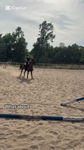 I think about you every day, Elvis:/ #whataboutus #fyp #fyp #dc #horse 