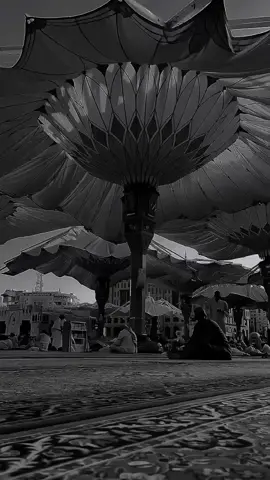 faviourte nasheed🖤🎧🌹 . .  #nasheed #darkedit #aestheticvideos #islamiccontent #islamicstatus 