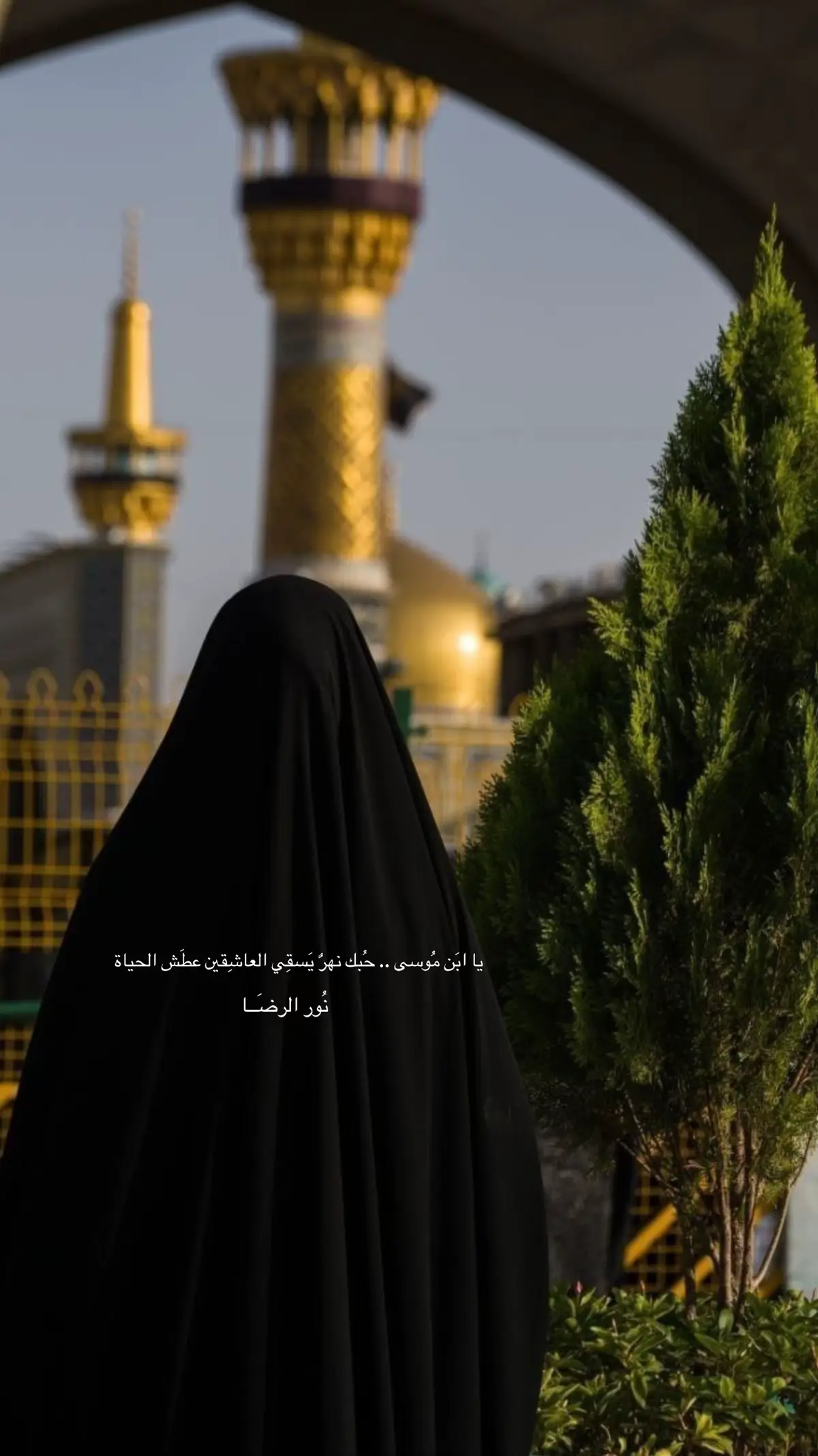 #الامام_علي_بن_موسى_الرضا_عليه_السلام #مشهد #الامام_الرضا #اللهم_صل_على_محمد_وآل_محمد #ضامن_الجنة 