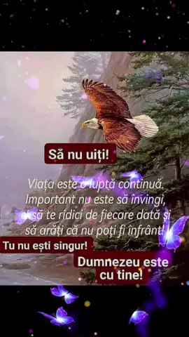 Seară frumoasă de sâmbătă vă doresc!