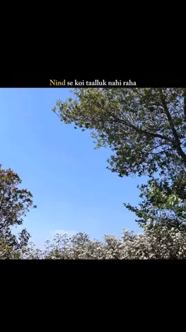 🥲میرا کون ہے یہ سوچنے میں رات گزر جاتی ہے۔۔۔