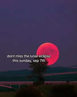 bloody moon tomorrow #blowthisup #viral #fyp #itslindis 