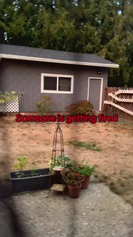 Now hiring: Guard Cat 