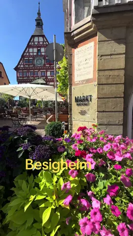 #deutchlernen🇩🇪 #besigheim #furdich #shqiptaretneperbote🇦🇱🌍 #fyppppppppppppppppppppppp 