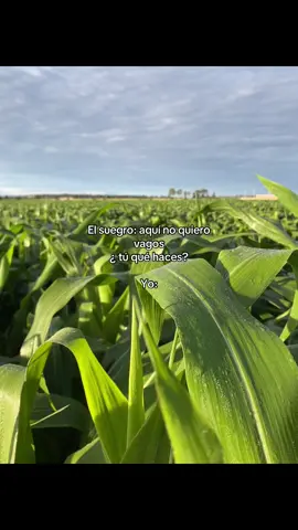 Diferente al restó.    #campo #agro #agronomia #viral #diferente 