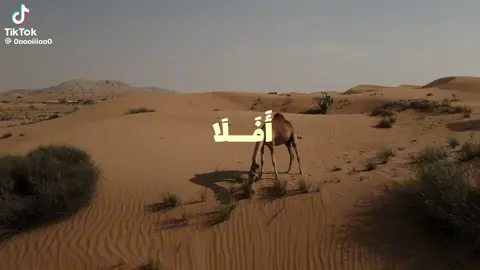 صلو على النبي 