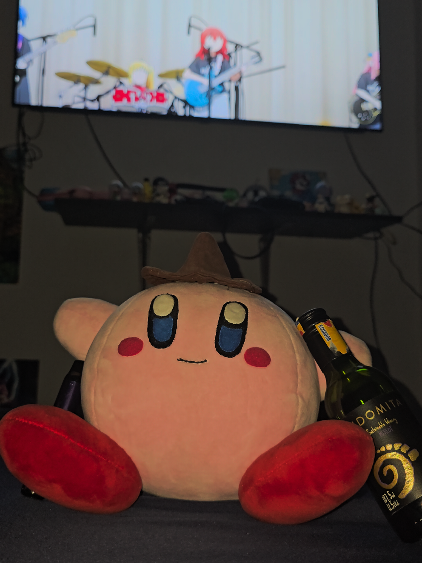 Quien te hizo tanto daño Kirby 😔 #kirby #corridosonichan #fuerzaregida #bocchitherock #sad 