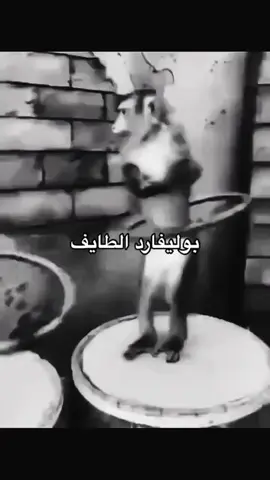 #الطائف 