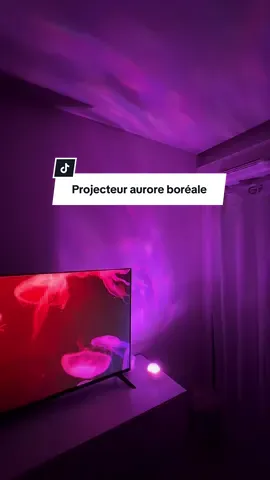 Un indispensable pour vos films en automne 🍁🍂 #harrypotter #movie #auroreboreale #tiktokshop #projecteur 