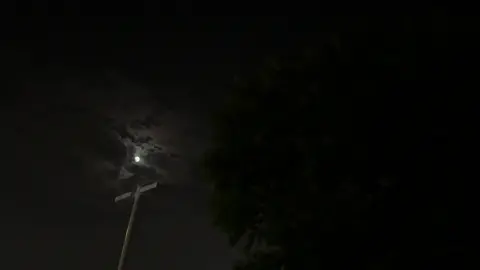 رابط سنابي في البايو#fyp #محمد_بن_فطيس 