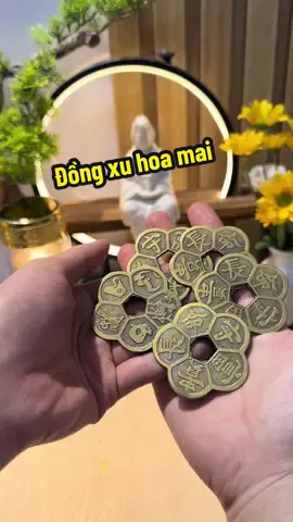 Đồng xu hoa mai, may mắn #dongxuhoamai #tailocmaymanbinhan☘️☘️ #CapCut 