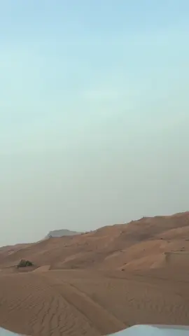 Booking Reservation 📲☎️ -Contact Us Now | Book Your Trip Now . 🏜️Desert safari  ☎️📲WhatsApp: +971501792333 *Everyday* ⏰Pick up Time: 3:00 - 3:30PM ⏰Drop Back Time: 10:00 - 10:30 PM Desert Safari Package Includes: *  Pick and Drop from your hotel/home. (Shared and private car both available) 🚗Red Sand Dune Bashing In At High Dunes. *  7+ Live Entertainment Shows  💃2 Belly Dance 🔥2 Fire Show                                                           🕺2 Tanoura Show, Yalla Dance, Mascot Show 🐫Short Camel Ride.  🏂Sand Boarding ✋ Henna Tattoo for Ladies/Kids  ☕️ Unlimited Water, Soft drinks, Tea & Coffee in camp 🏕️  📸Sunset Photography (with your own camera) 🍟I 15+ items Buffet Dinner, Vegetarian & Non-Vegetarian with BBQ *Free Arabic hookah in a designated area. Up to 3 years old kids are free /OUT Quad bike and buggy tour(extra cost) Licensed and Professional Drivers. Licensed Company In Dubai Tourism Depart. Sanitized Vehicles. 🚗  Separate Toilets for Men and women. • Neat and Clean Desert Camp.🏕️  NOTE: *No Cancellation Or any other Changes at same day. That will be fully charged* Desert Safari Dubai🏜️ T #dubai #mydubai #dubailife #dubaimall #dubaifashion #dubaimarina #dubaistyle #dubaiblogger #dubailifestyle #visitdubai #dubaievents #dubaiinstagram #instadubai #downtowndubai #dubaiphotographer #dubailuxury #dubaifashionblogger #lovedubai #dubaibloggers #indubai #dubaidesert #burjkhalifa #burjalarab #desert #desertsafari #desertdubai #dubaimall