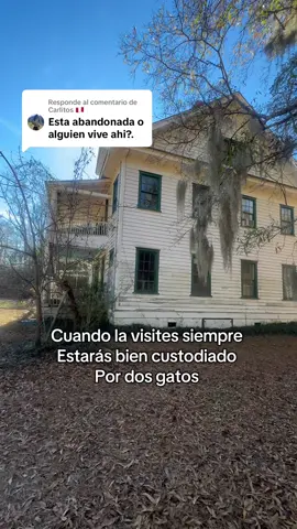 Respuesta a @Carlitos 🇵🇪 me sentía observado hasta que me di cuenta quien me miraba 