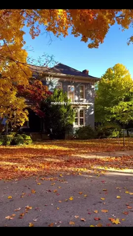 Mentally I’m walking outside on a cozy autumn day #fall #autumn #xyzbca #fallcore #bestseason 