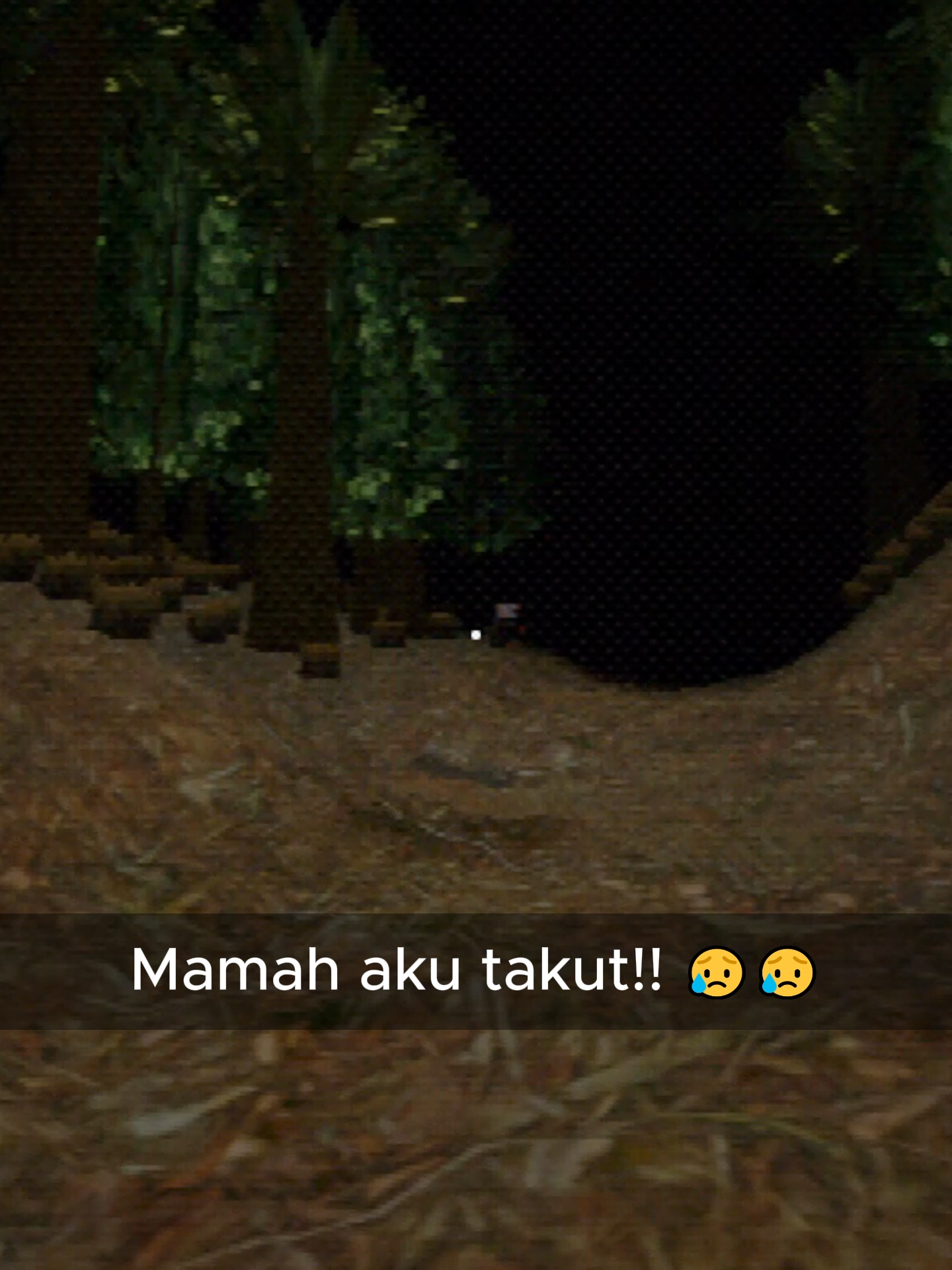 Gem horror 10mnt bilek