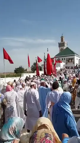 طريح شيخ كامل هادي بنعيسه 