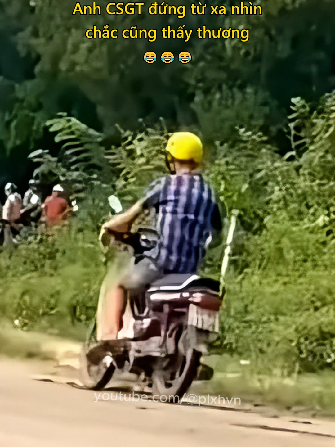 Anh CSGT đứng từ xa nhìn chắc cũng thấy thương 😂 #giaothong #csgt #haihuoc #vuive #haha #plxhvn #phapluatxahoi