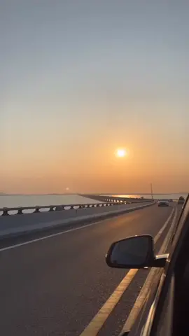 الشبح #الشبح 