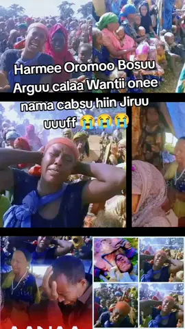#oromotiktok❤️💚❤️ethiopiantiktoko  #oromotiktok❤️💚❤️ethiopiantiktoko 