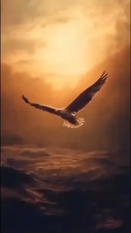 #ممدوح_الصعيدي🇪🇬🇰🇼 