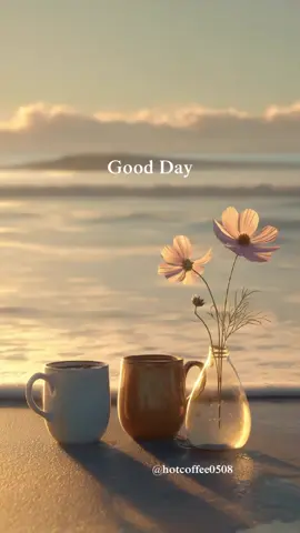 Good Day☕️🌸 #fyp #calm #coffee #flowers #sunset 