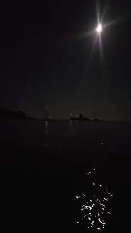 #🤲🌹🧸🌴🌊 