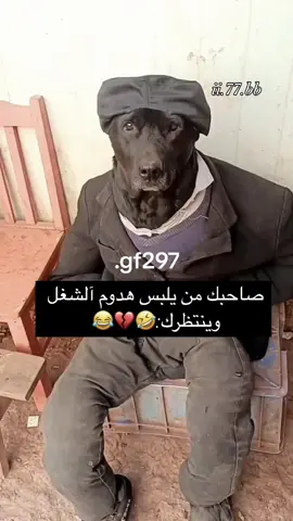 #ليكات #اكسبلور #الشعب_الصيني_ماله_حل😂😂 #متابعه_ولايك_واكسبلور_ا 