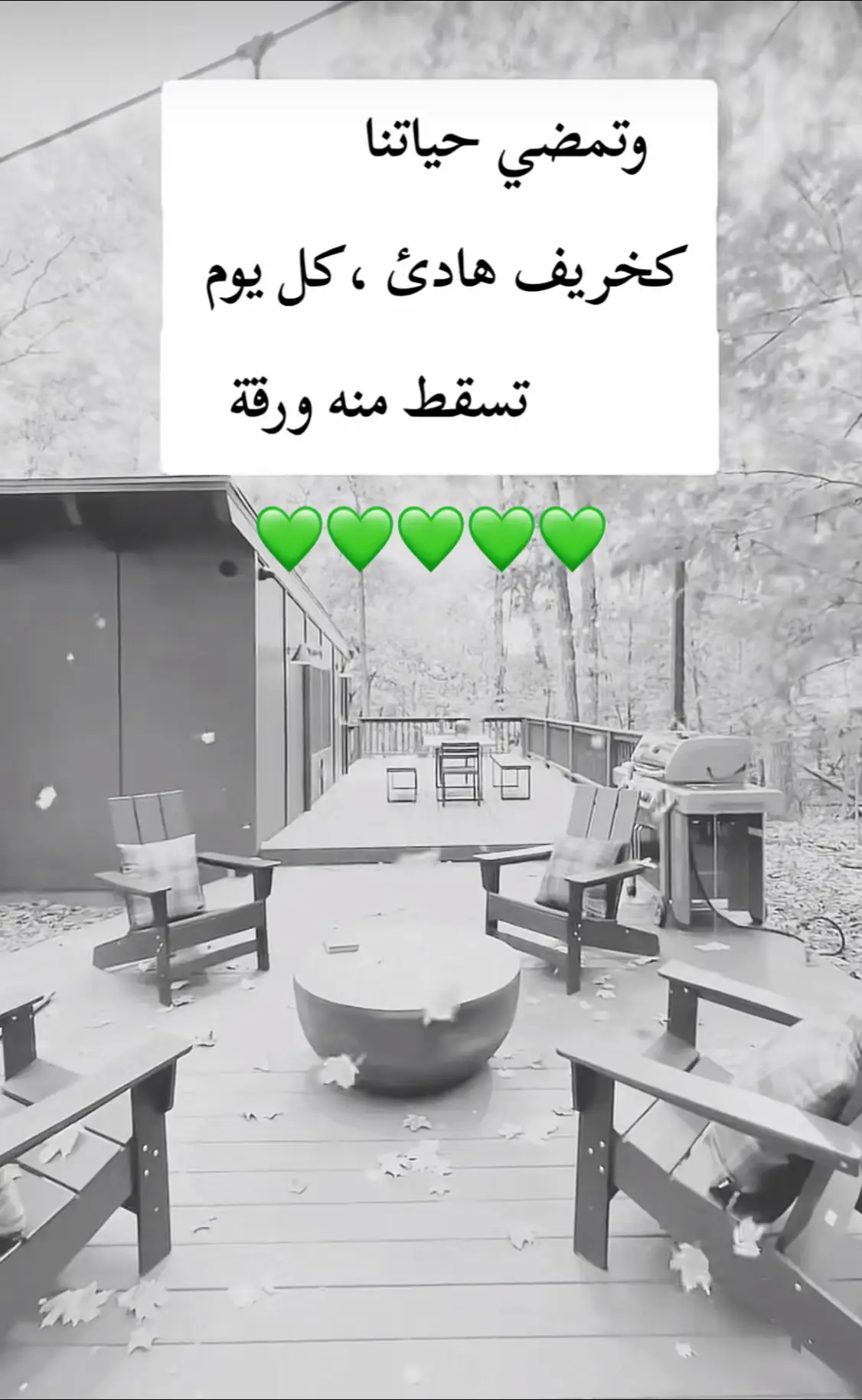 #اكسبلورexplore❥🕊🦋💚 #فيهذااليوم #ترند #تصميم_فيديوهات🎶🎤🎬 #ترندات 