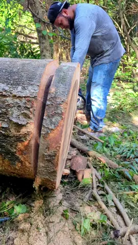Un metro de grueso, guía baja y filo de aserrar😬 #woodwork #stihl #woodworking #hardlyworking 