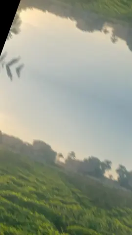 المشاهدات #