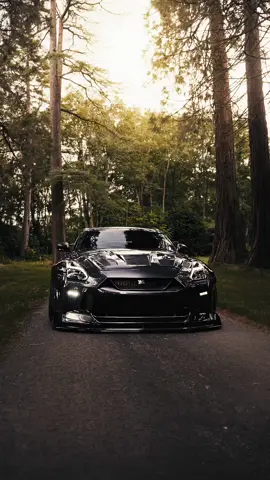 In the wilderness 🦁🦁 #dream #bigbillionstar #gtr #widebody #gtr 