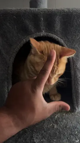 Never wants me at all 