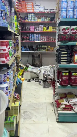 نام عل تبريد 😅.  🐗_________________________________#الشعب_الصيني_ماله_حل😂😂 