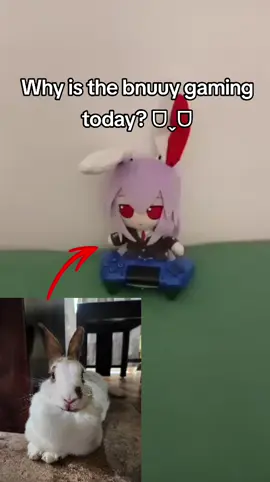 Credits: zetsureisen9350 on YT #touhou #touhouproject #touhoufumo #fyp #reisenudongeininaba 