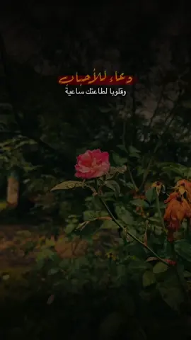 أجمعين يارب 🤲🤍