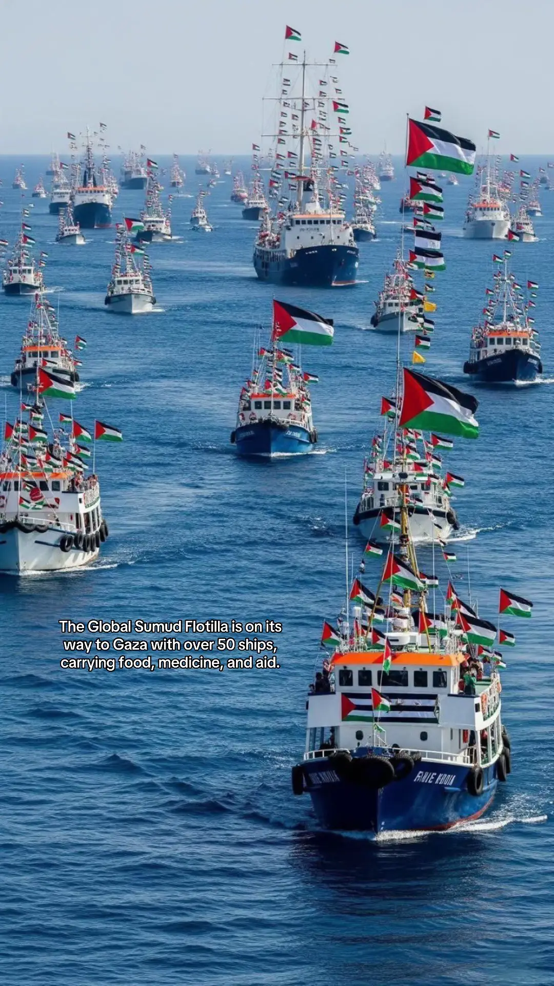 The largest Flotilla yet is sailing to GAZA 🥹 #breakthesiege #freepalestine #freepalestine🇵🇸❤️ #freepalestina #foryou 