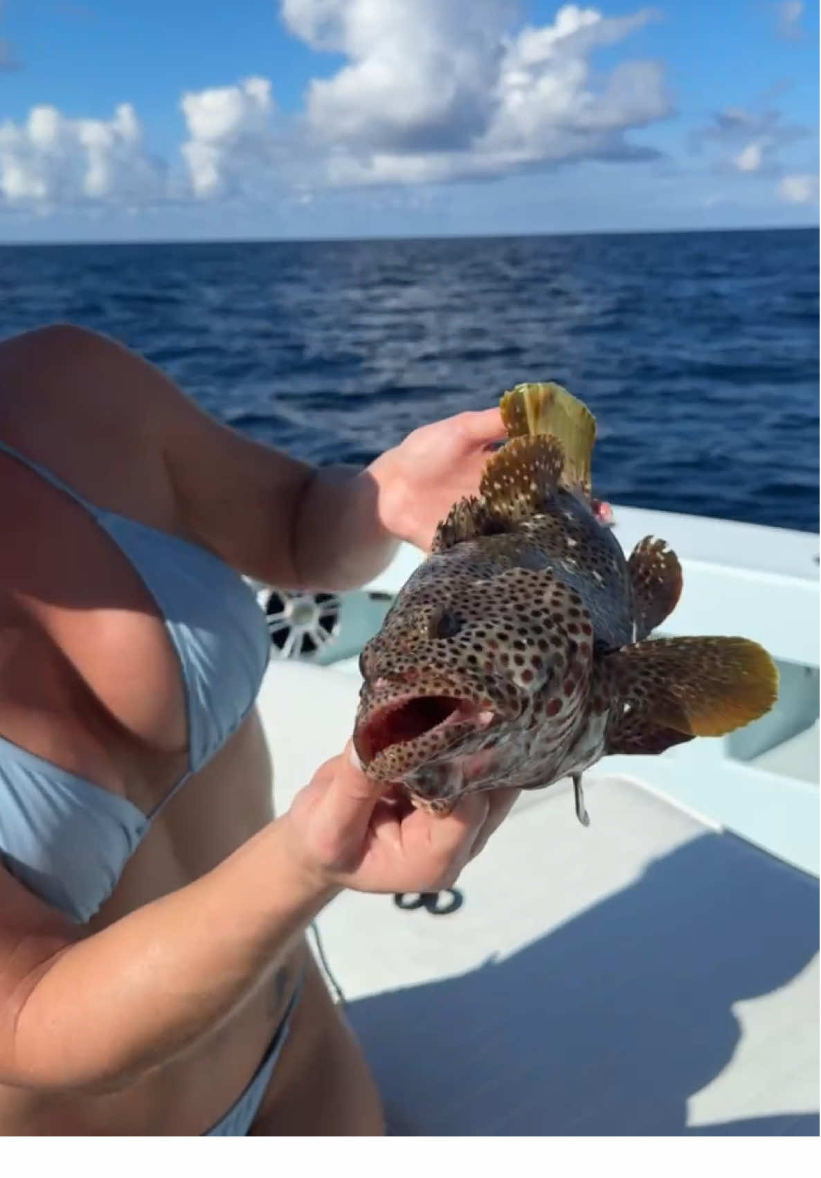 The biggest strawberry grouper I’ve ever caught!🙌👀🎣 Fish tacooooos #boat #fishing #foryou #fishingtrip #fishingtiktoks 