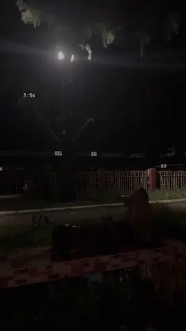 আমার ঘুম আসে না! 