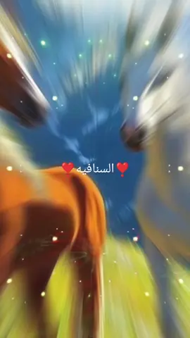 ####