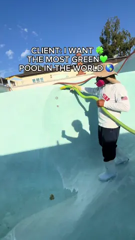 DID WE DELIVER ?🫡🙂‍↔️#fypシ゚viral #satisfyingvideo #primetimepoolplastering #green 