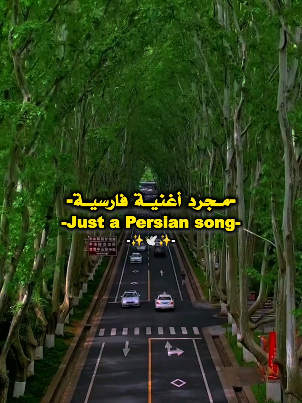#اغاني #تصميم_فيديوهات🎶🎤🎬 #شاشة_سوداء🖤 #explore #fyp 