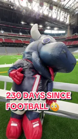 it’s been 230 days 😳 #houston #texans #nfl #football #goingcrazy 