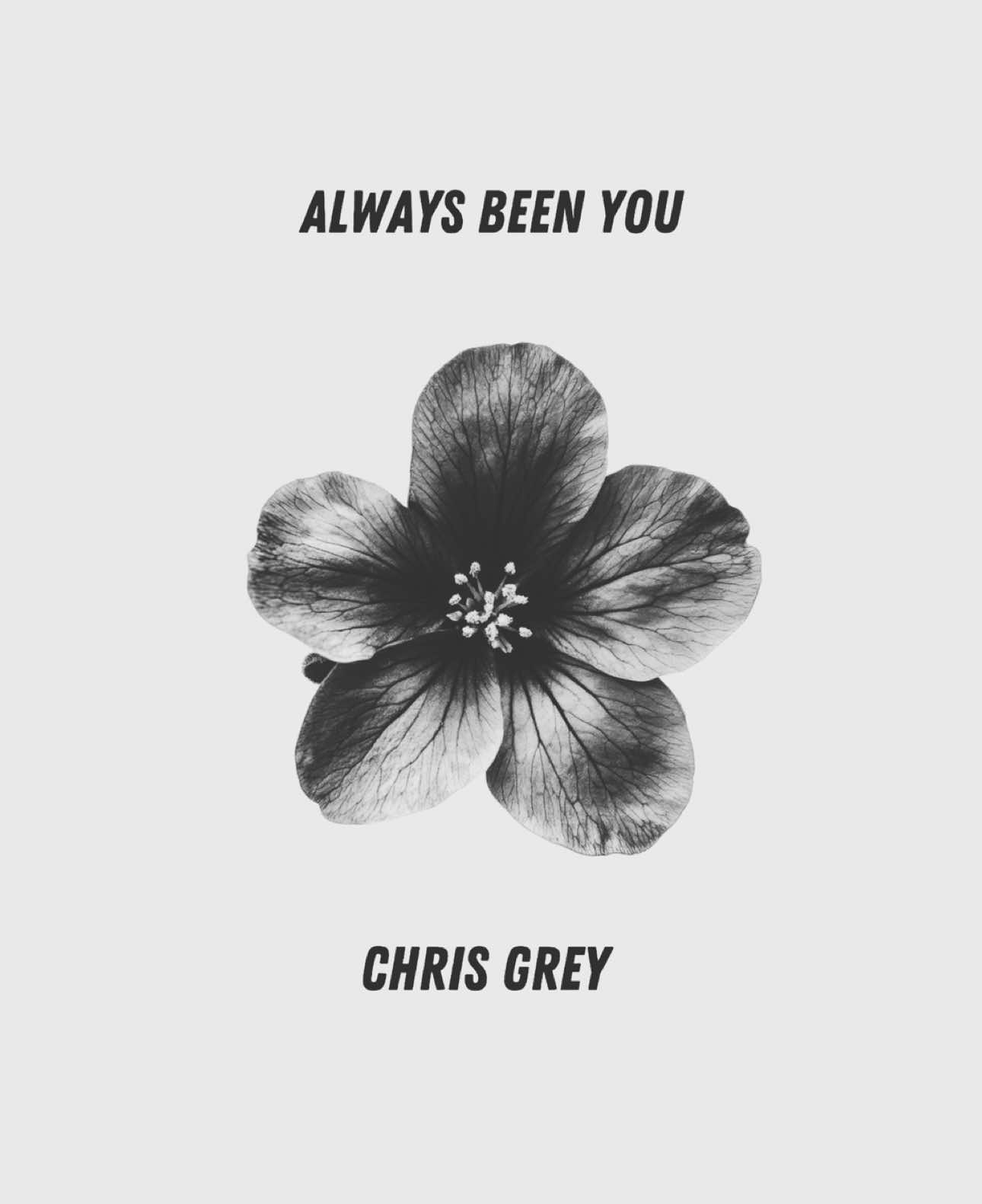 ALWAYS BEEN YOU-Chris Grey (sped up) #chrisgrey #lyrics #song #music #spedupsounds #spedup #foryoupage 