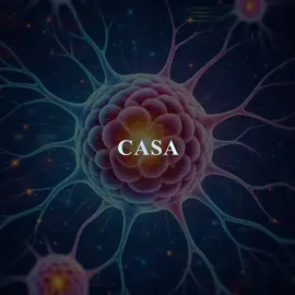 Ficar muito tempo sem sair de casa não afeta só o corpo afeta profundamente o cérebro #mente #neurociencia #ciencia #psicologia #educacaotiktok 